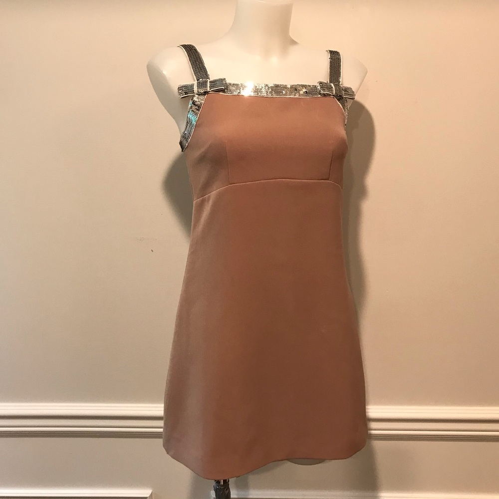 Show Amiu Pinkish/ taupe W/silver trim mini dress
